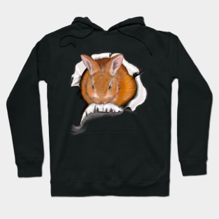 Ginger bunny rabbit bursting through hole   - cute ginger bunny rabbit black background Hoodie